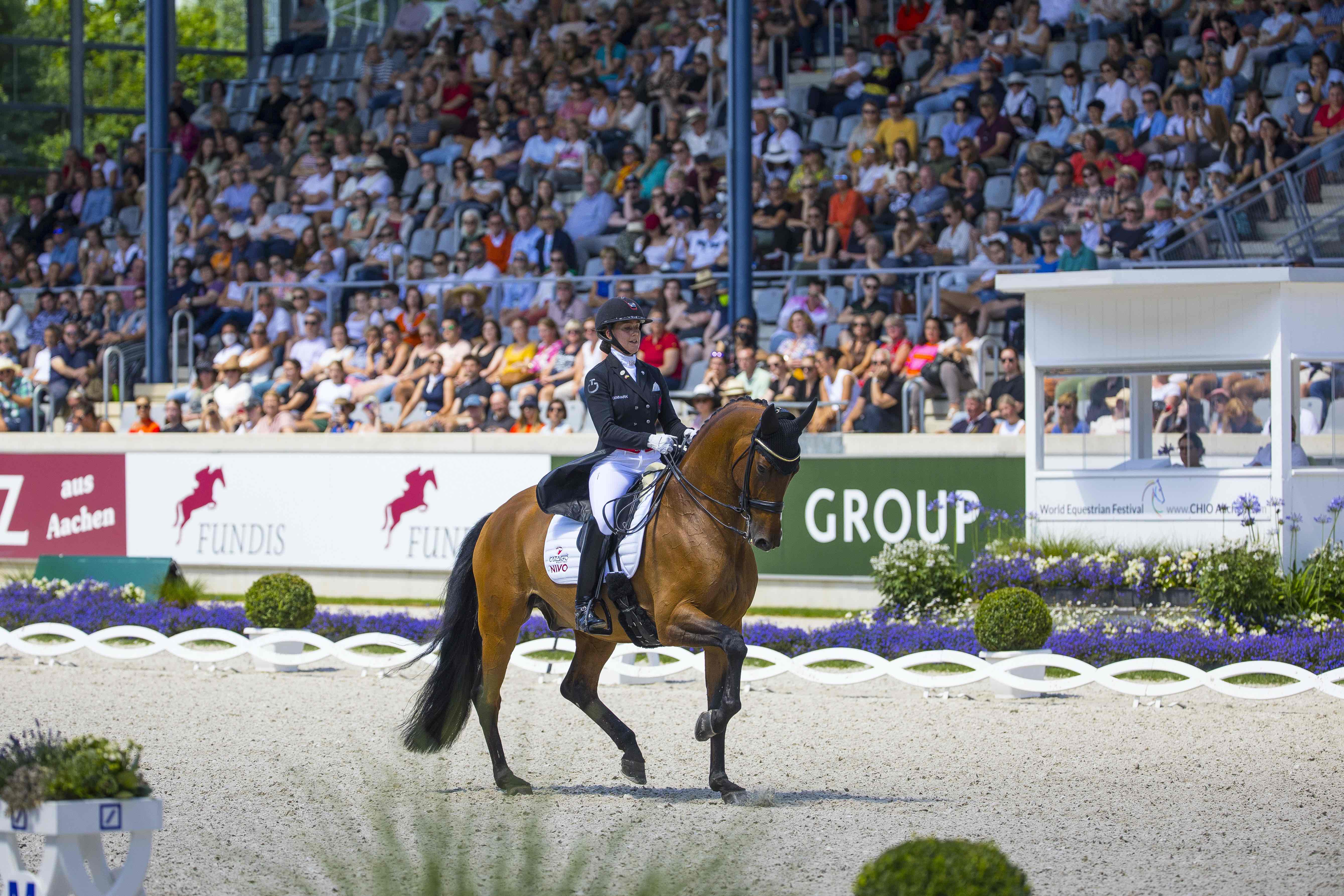 Dressage Tests Dressage New South Wales